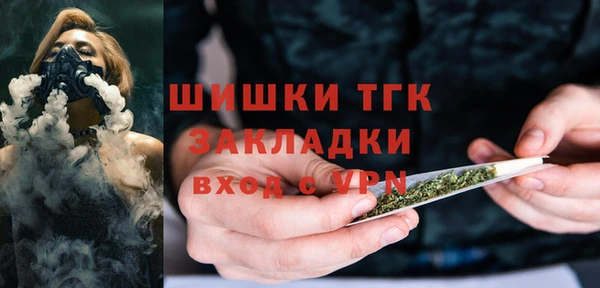 дживик Пересвет