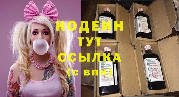 дживик Пересвет
