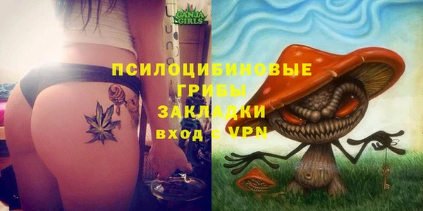 стафф Переславль-Залесский
