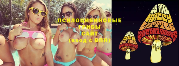 дживик Пересвет