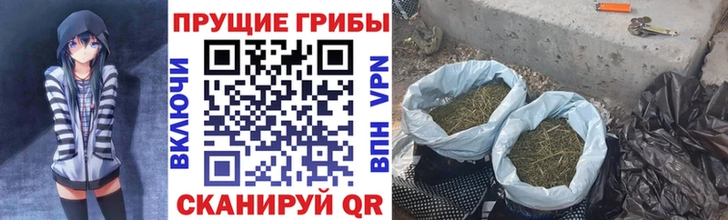 купить наркотик  Шиханы  Псилоцибиновые грибы Magic Shrooms 